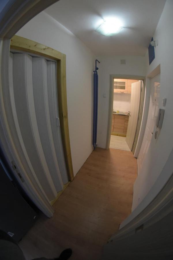 Apartment Dorcol Belgrade Extérieur photo